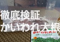 【徹底検証】カイワレ大根は、種から育てるのとスーパーで買うのどっちがお得？？